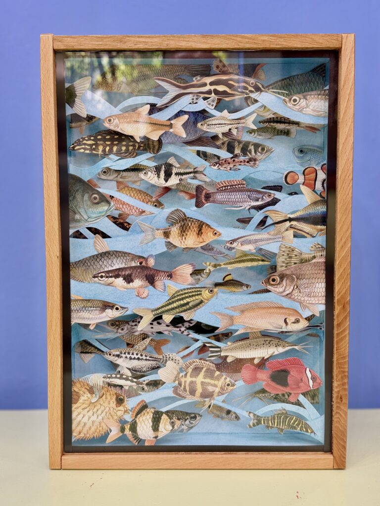 diorama acquario di carta